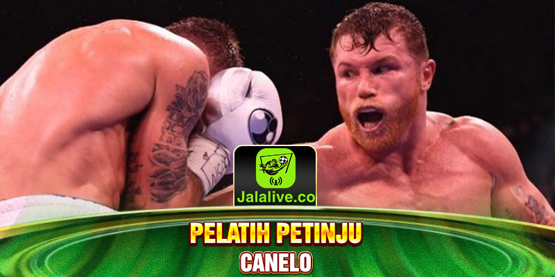 pelatih petinju canelo